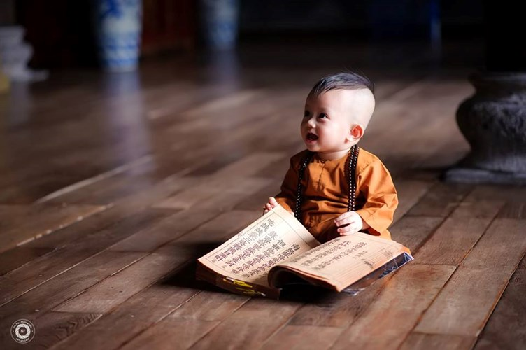 Cultivating a Beginners Mind