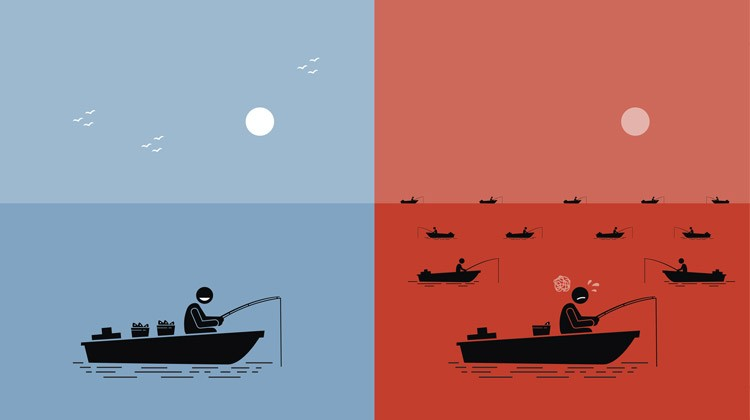 Minimum Viable Niche: On Defining Target Audiences